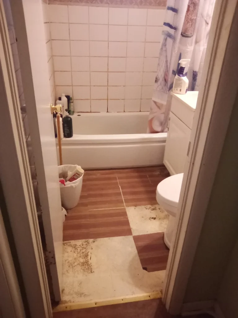 Bathroom Remodeling Testimonial Before