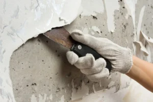 Wallpaper Removal Kansas City